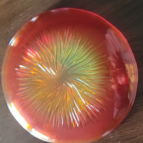 Vintage Amberina Starburst Plates set of 4 - Picture 6 of 6